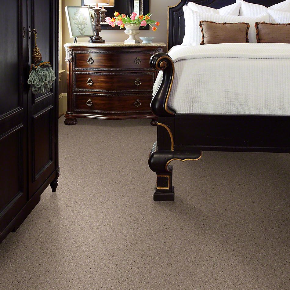 Shaw Floors Value Collections Well Played II 15′ Net Natural Beige 00700_E0848