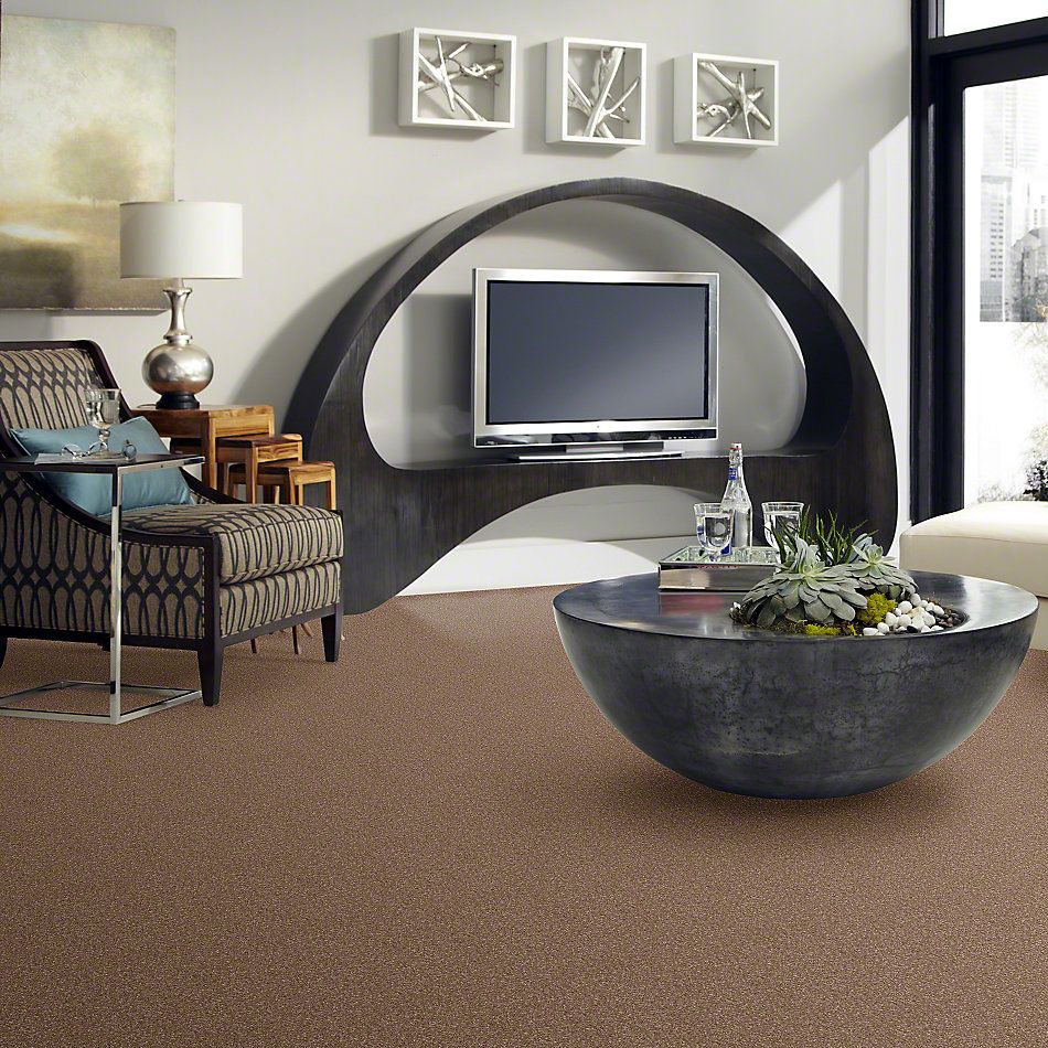 Shaw Floors Value Collections Sweet Life Net Acorn 00700_E9124