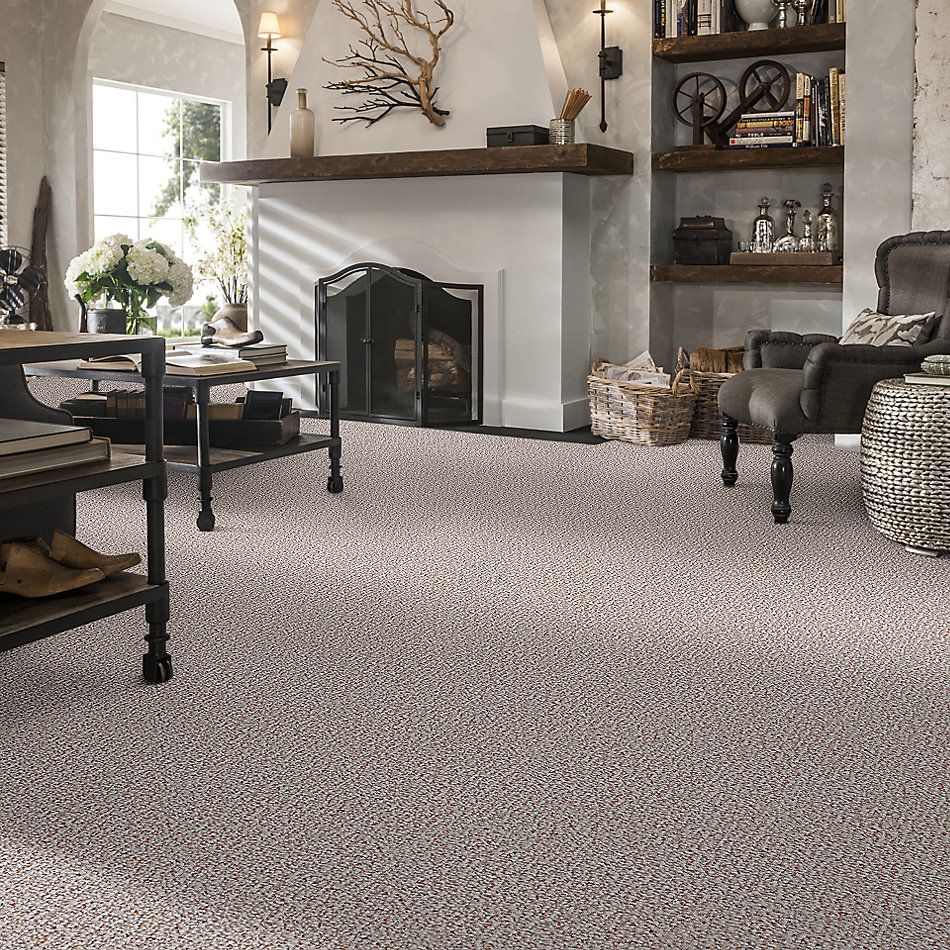 Shaw Floors Value Collections Pure Waters 12′ Net Crumb Cake 00700_E9279