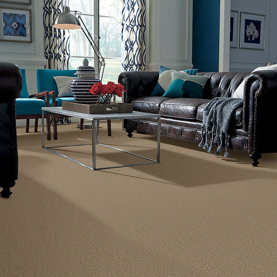 Shaw Floors Value Collections Passageway I 15 Net Sea Grass 00700_E9620
