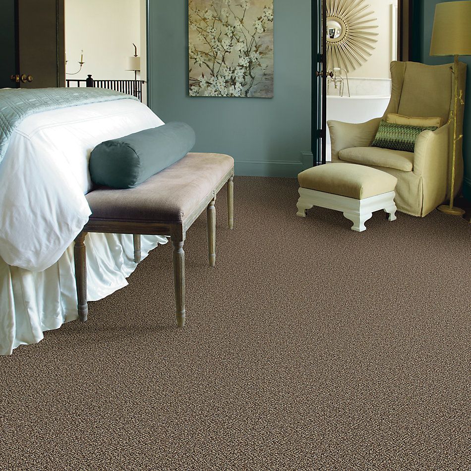 Shaw Floors Value Collections Accents For Sure 12′ Worn Path 00700_E9908