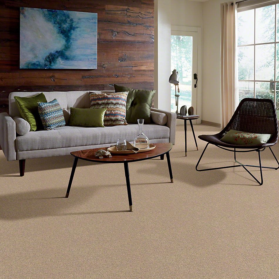 Shaw Floors Anso Colorwall Gold Texture Townhouse Taupe 00700_EA571