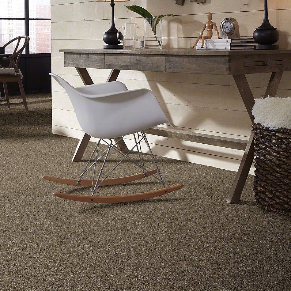 Shaw Floors Simply The Best Nature Essence Dirt Road 00700_EA692