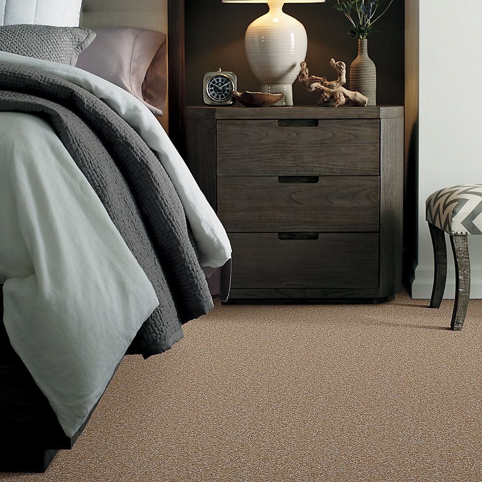 Shaw Floors Home Foundations Gold Time Frame Tweed 00700_HGE36