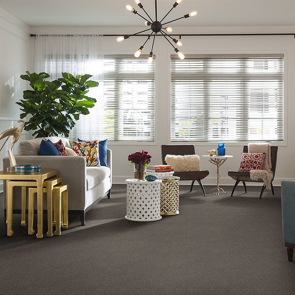 Shaw Floors Nfa Relentless II 12 Tree Bark 00700_NA505