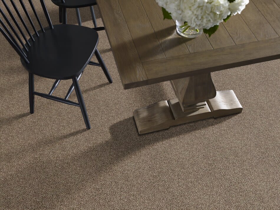 Shaw Floors Value Collections Xy149 Worn Path 00700_XY149
