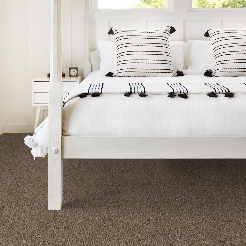 Shaw Floors Value Collections Xy149 Worn Path 00700_XY149