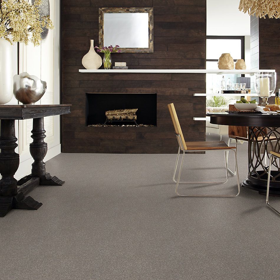 Shaw Floors Value Collections Xz161 Net Tree Bark 00700_XZ161