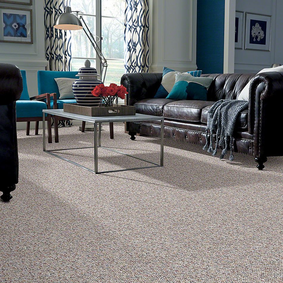Shaw Floors St Bryant 12 Nature S Design 00701 19585 Carpeting
