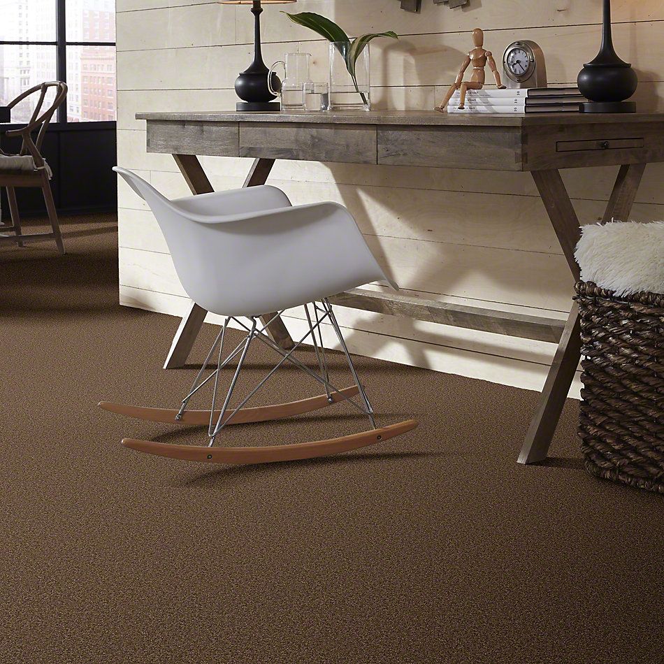 Shaw Floors Shaw Flooring Gallery Chromatic Canyon Ore 53633_00701