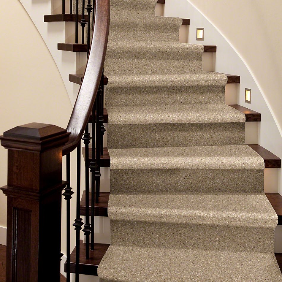 Shaw Floors Instant Winner Cashmere 52E28_00701