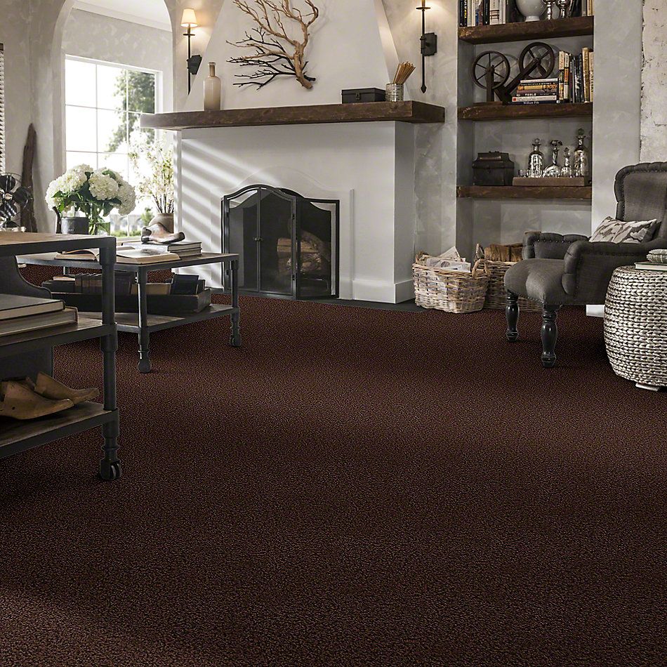 Shaw Floors Guess Work (s) Buccaneer 52T99_00701