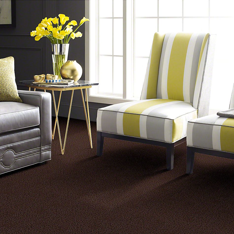 Shaw Floors Striker Dark Fudge 52R36_00701