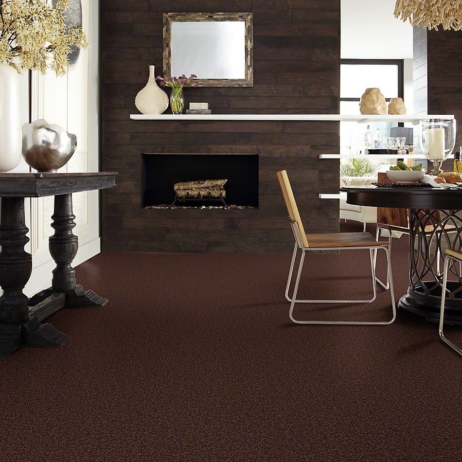 Shaw Floors Cardinal Dark Fudge 52R37_00701