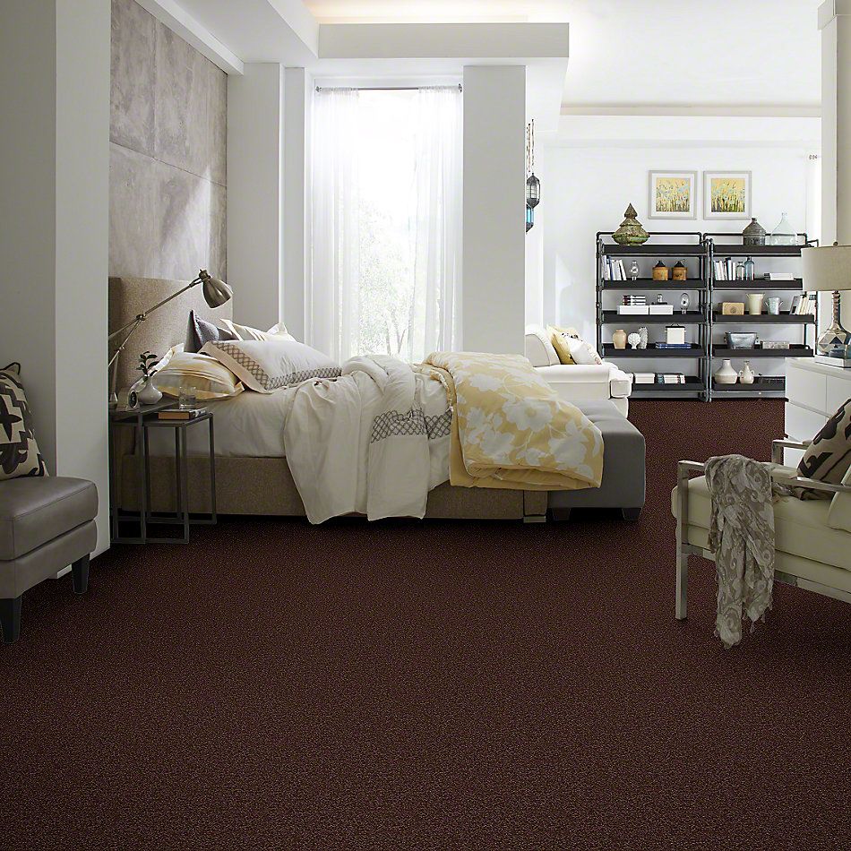 Shaw Floors Cardinal Dark Fudge 52R37_00701