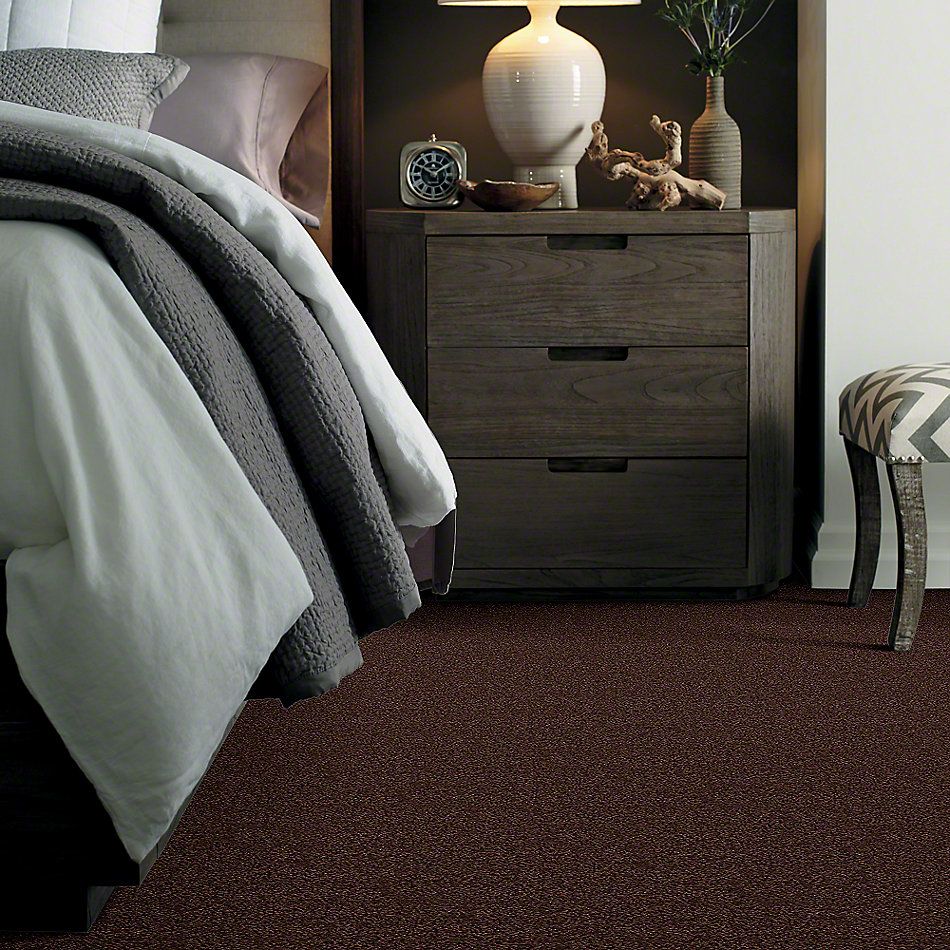 Shaw Floors Cardinal Dark Fudge 52R37_00701