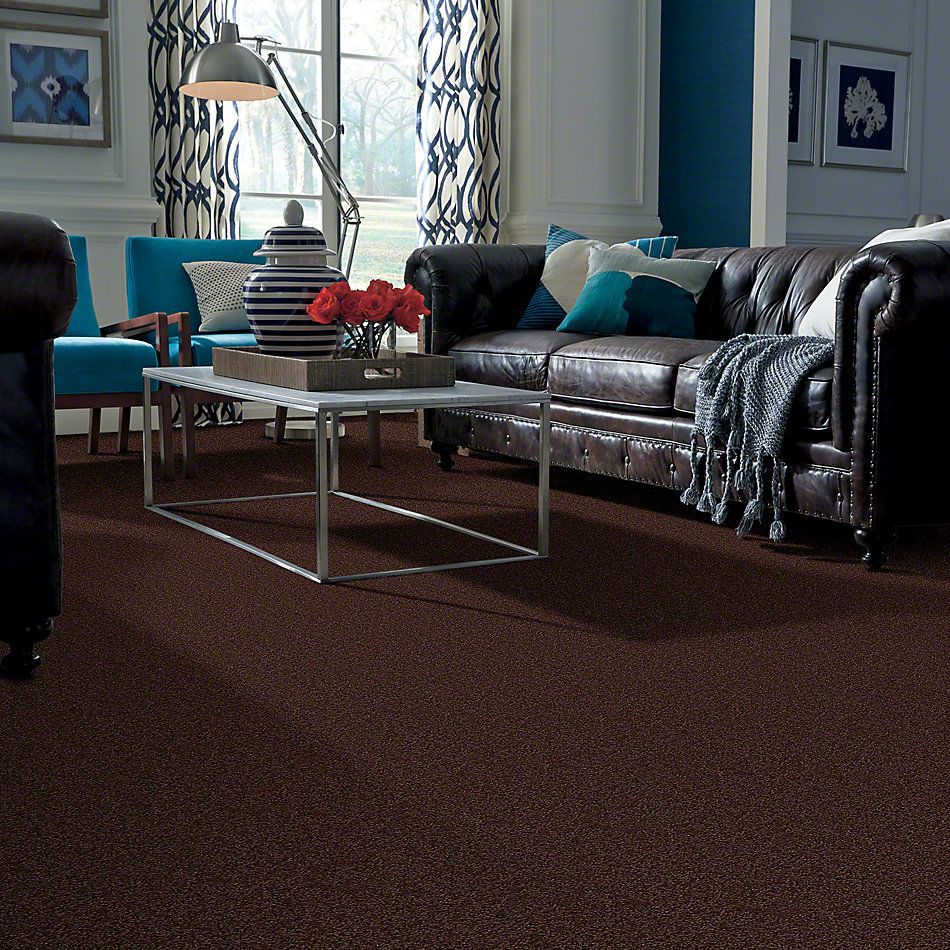 Shaw Floors Cardinal Dark Fudge 52R37_00701