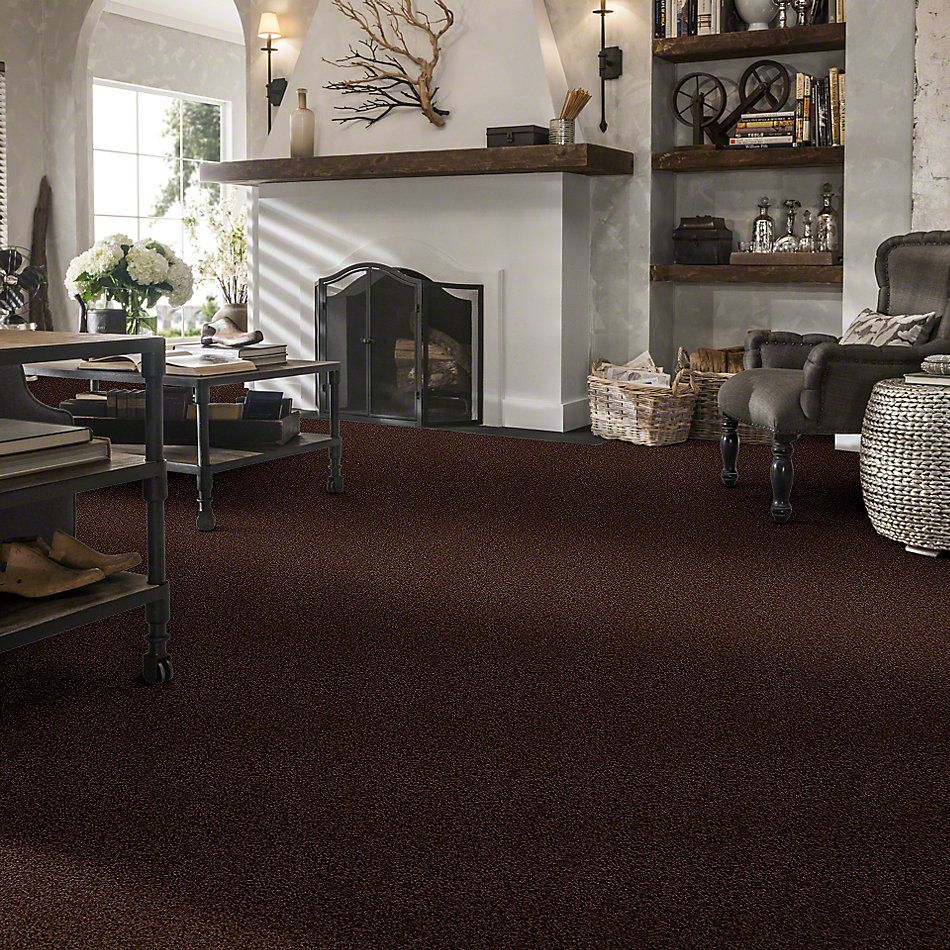 Shaw Floors Cardinal Dark Fudge 52R37_00701