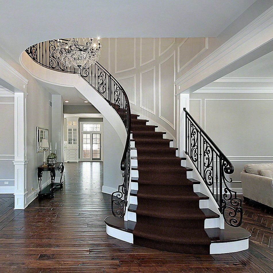 Shaw Floors Cardinal Dark Fudge 52R37_00701