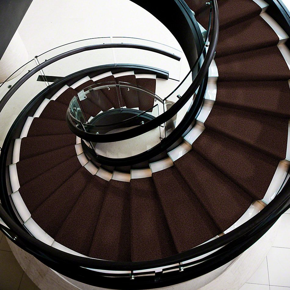 Shaw Floors Cardinal Dark Fudge 52R37_00701