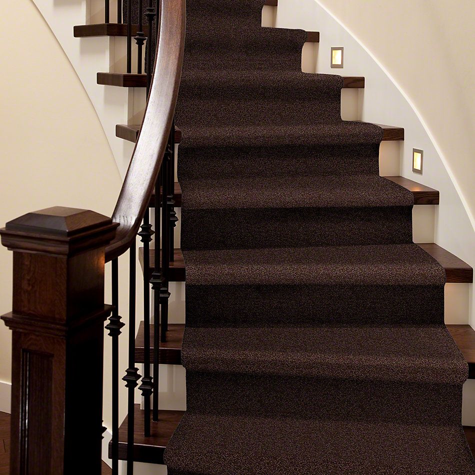 Shaw Floors Cardinal Dark Fudge 52R37_00701