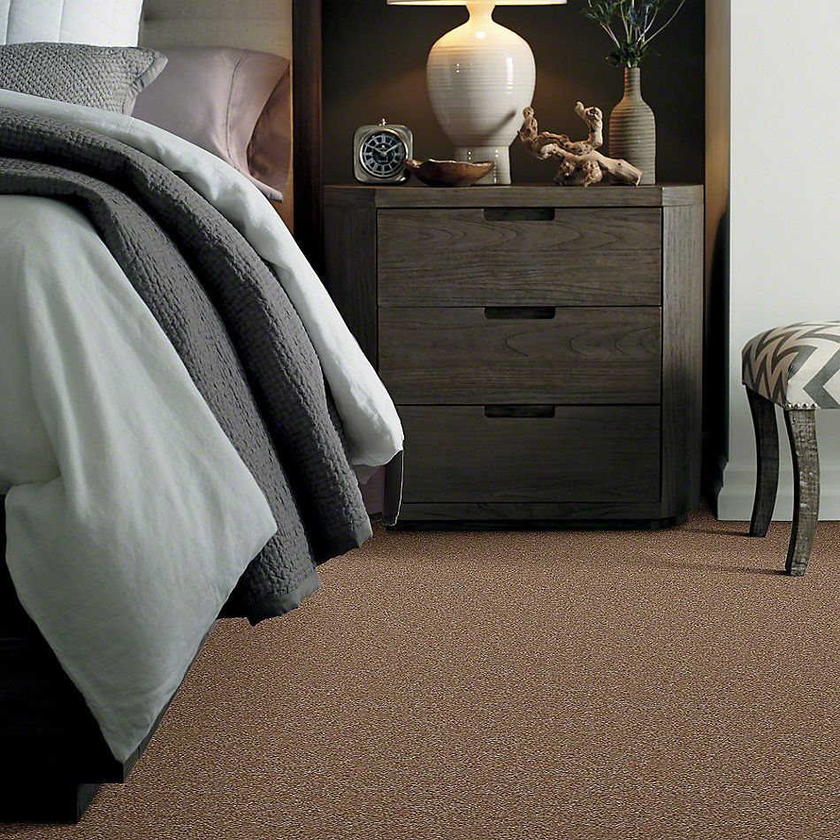 Shaw Floors Town Creek II Ash Blonde 52S30_00701