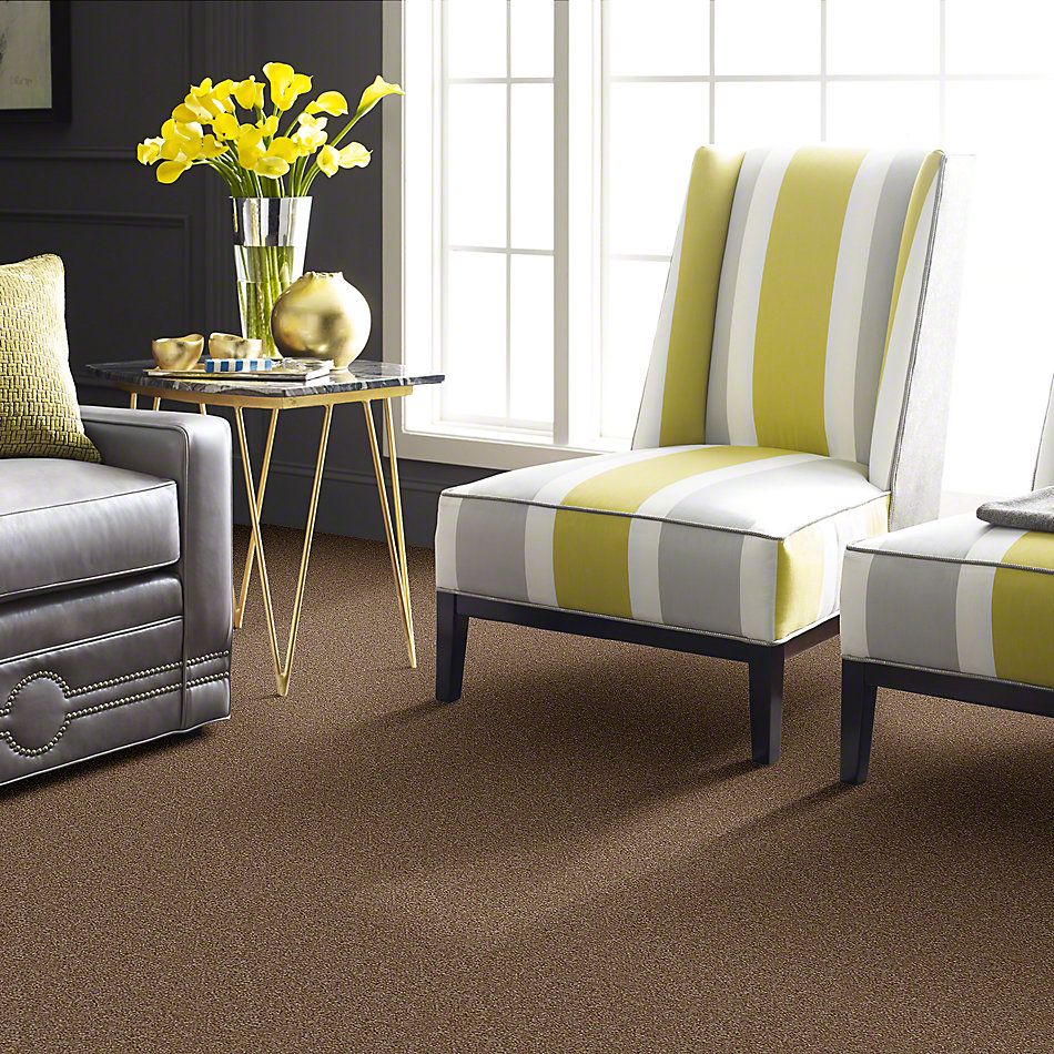 Shaw Floors Town Creek II Ash Blonde 52S30_00701