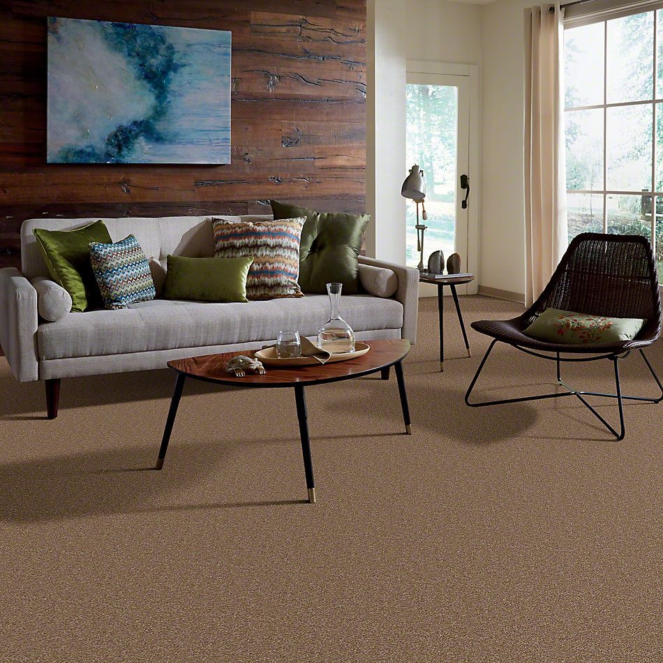 Shaw Floors Town Creek II Ash Blonde 52S30_00701