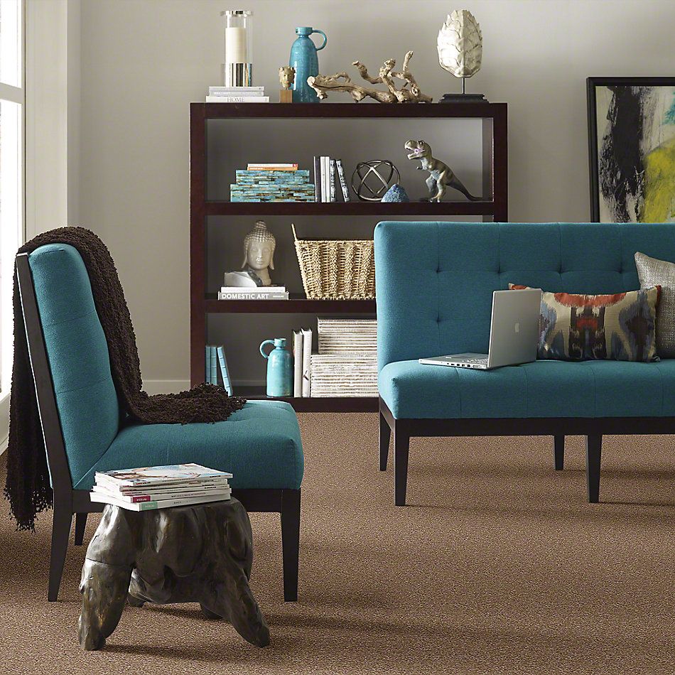 Shaw Floors Town Creek II Ash Blonde 52S30_00701