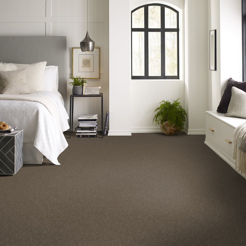 Shaw Floors Simply The Best Without Limits II Bountiful 00701_5E483