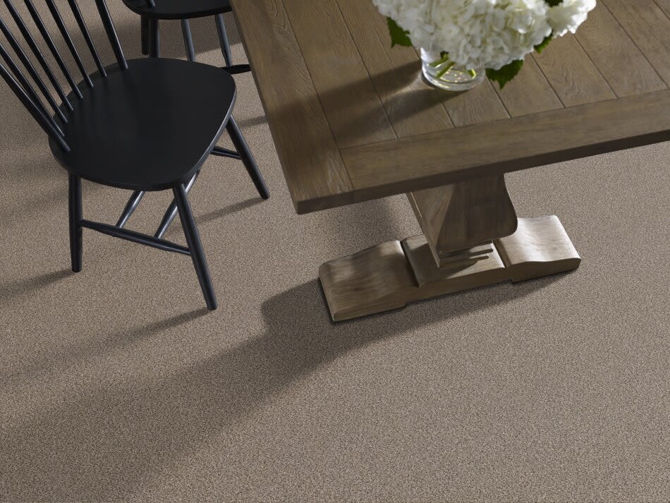 Shaw Floors Truspirit II Truffle 00701_5E497