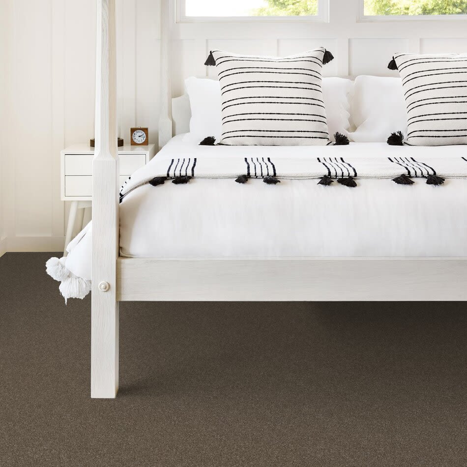 Shaw Floors Simply The Best Without Limits II Net Bountiful 00701_5E508