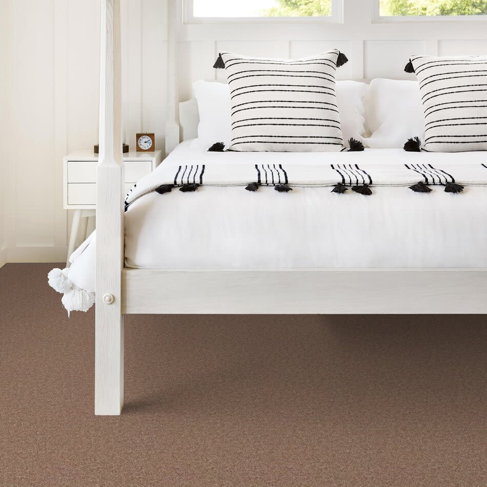 Shaw Floors Frenzy 12 Rio Grande 00701_726G8