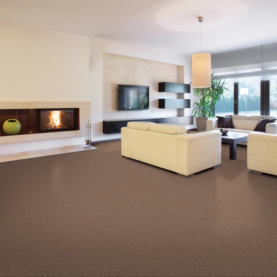 Shaw Floors Frenzy 12 Rio Grande 00701_726G8