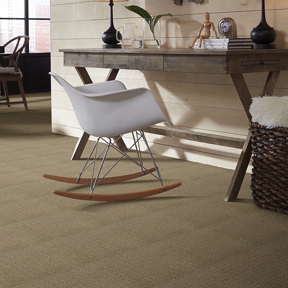 Shaw Floors Caress By Shaw Luxe Classic Lg Llama 00701_CC25B