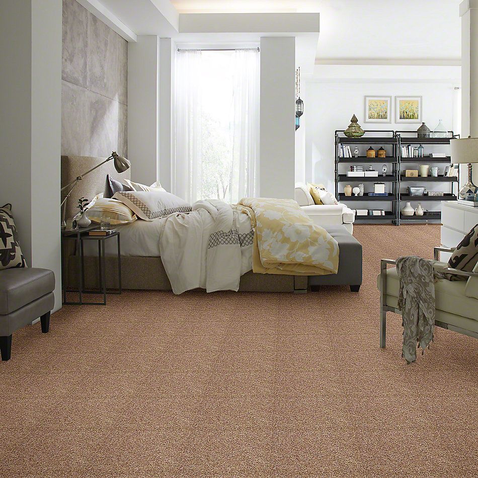 Shaw Floors Let’s Go (s) Pebble 00701_E0306