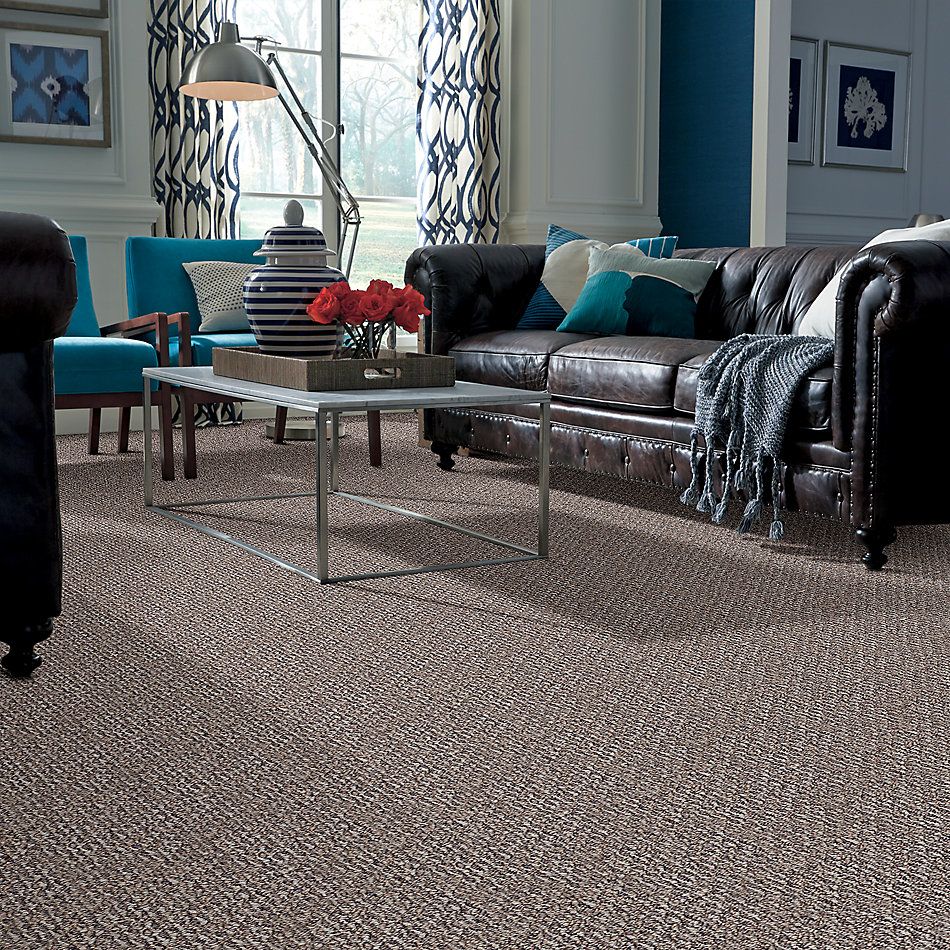 Shop Shaw Floors Value Collections Newmar 12' Net Hearth 00701_E9143