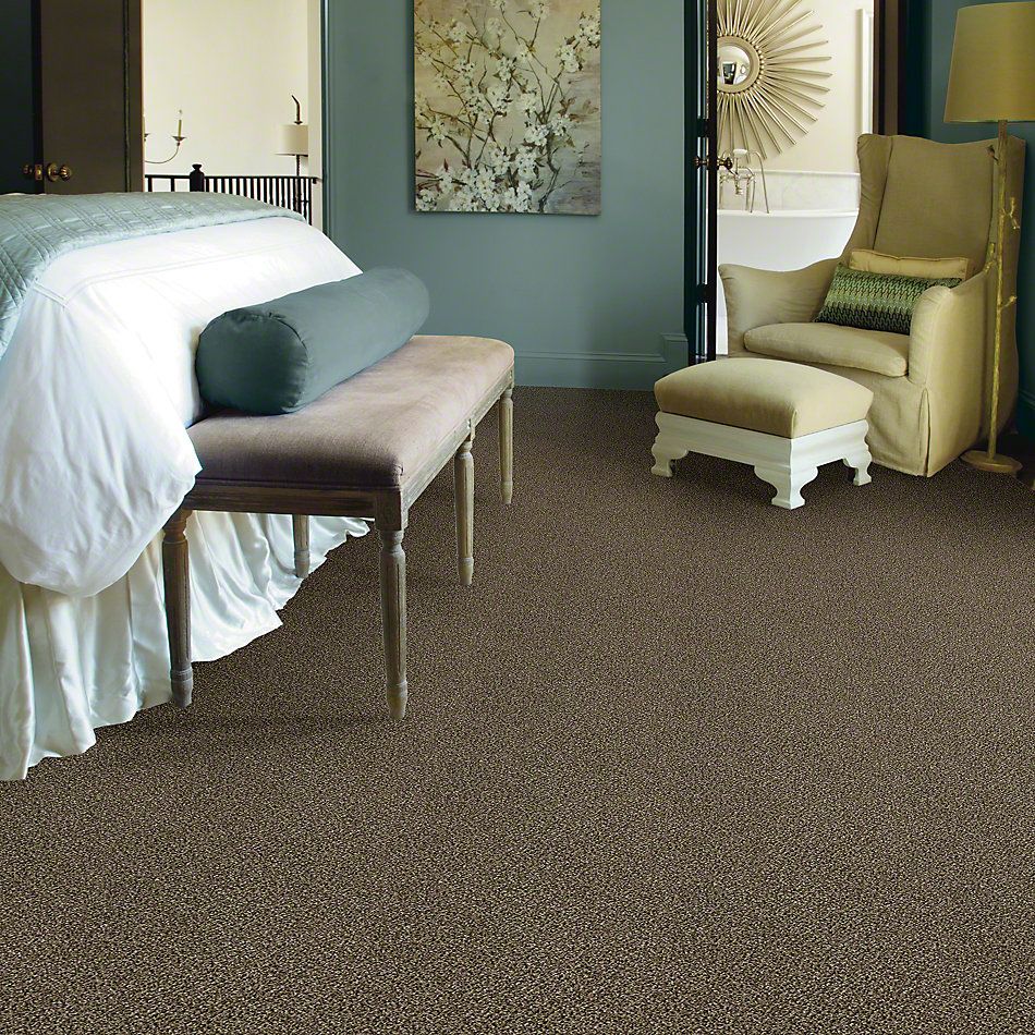 Shaw Floors Simply The Best Because We Can I 12′ Pinecone 00701_E9186