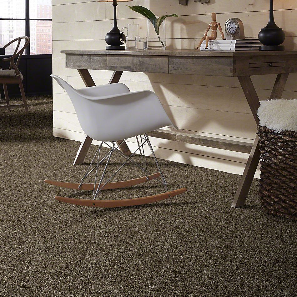 Shaw Floors Simply The Best Because We Can I 15′ Pinecone 00701_E9258