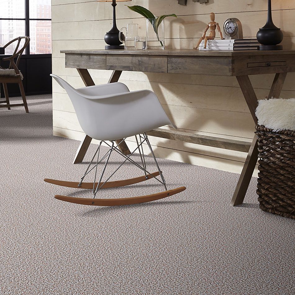 Shaw Floors Value Collections Pure Waters 12′ Net Pebble Path 00701_E9279