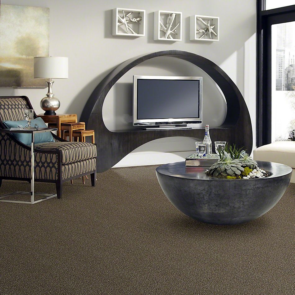 Shaw Floors Value Collections Because We Can I 12′ Net Pinecone 00701_E9312