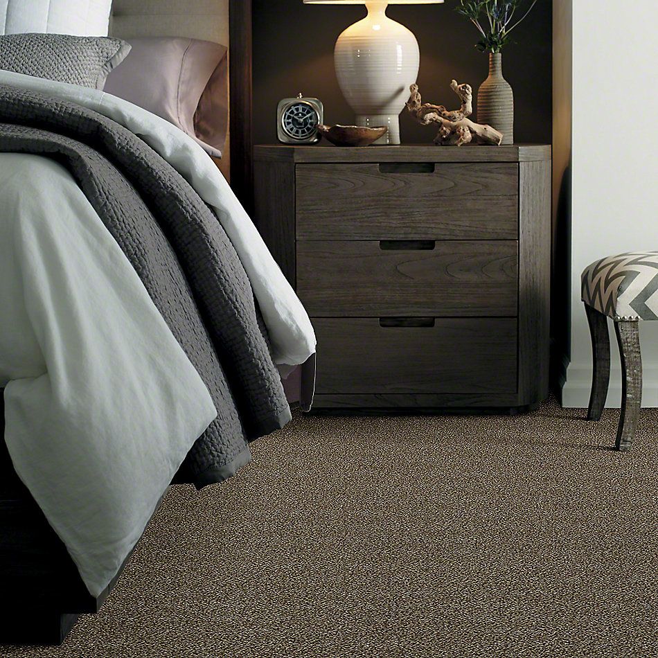 Shaw Floors Value Collections Because We Can I 15′ Net Pinecone 00701_E9313