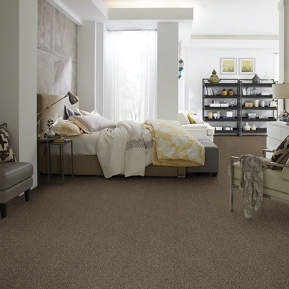 Shaw Floors Value Collections Because We Can III 12′ Net Pinecone 00701_E9316