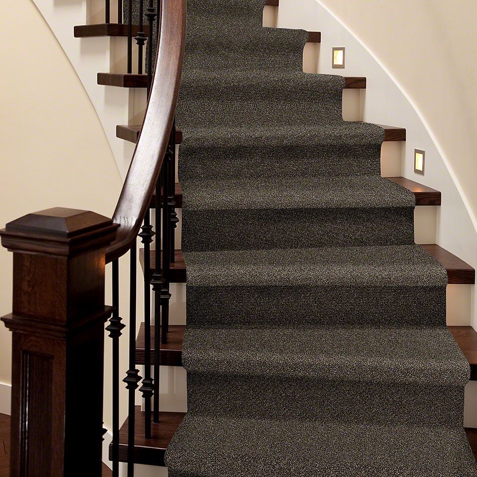 Shaw Floors Simply The Best Of Course We Can I 15′ River Walk 00701_E9422