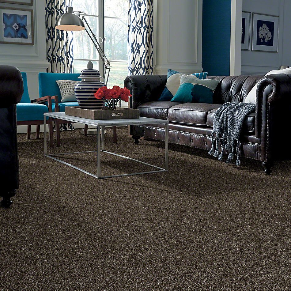 Shaw Floors Simply The Best Of Course We Can II 12′ River Walk 00701_E9423