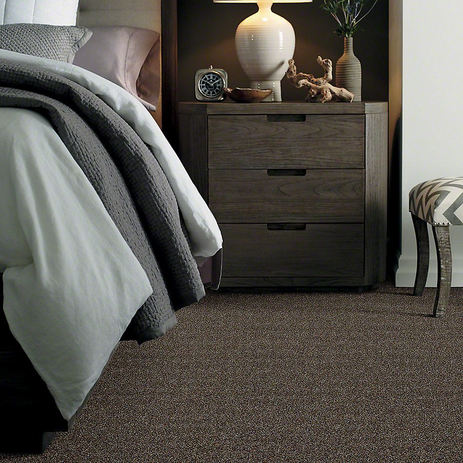 Shaw Floors Simply The Best Of Course We Can III 15′ River Walk 00701_E9426
