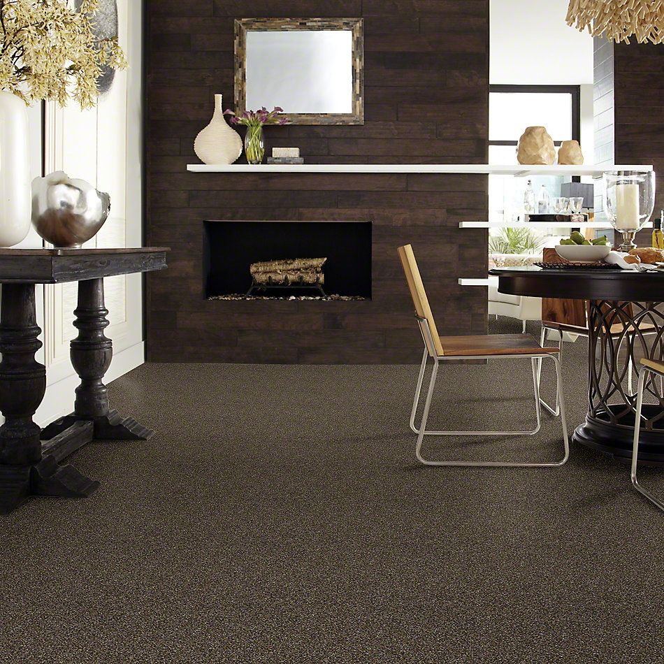Shaw Floors Value Collections Of Course We Can I 12 Net River Walk 00701_E9429