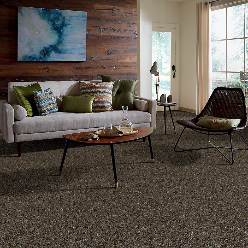Shaw Floors Value Collections Of Course We Can I 12 Net River Walk 00701_E9429