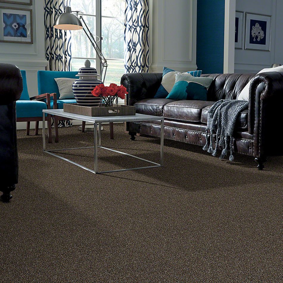 Shaw Floors Value Collections Of Course We Can III 15′ Net River Walk 00701_E9444