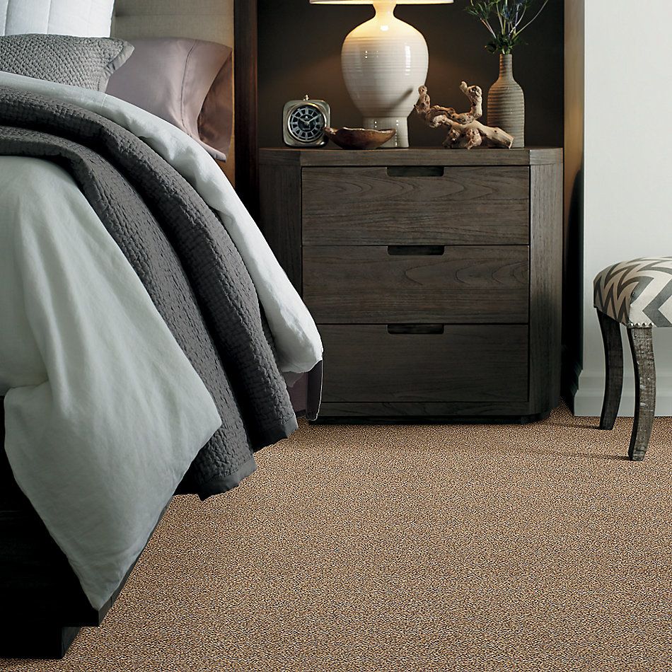 Shaw Floors Simply The Best Super Buy 55 Natural Wood 00701_E9600